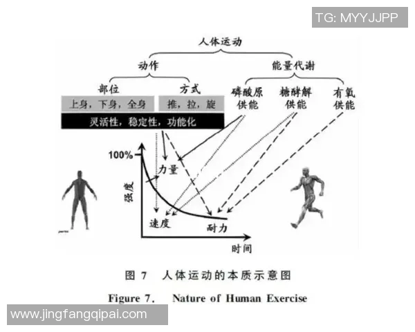 运动心理学视角下的竞技表现提升与心理调适策略研究